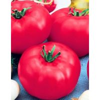 Семена АСТ Томат Бакинские 622 20шт