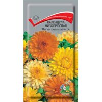 Семена ПОИСК Колендула Пигми смесь