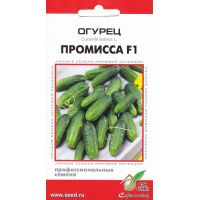 Семена Дом Семян Огурец Промисса F1 6шт