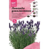 Семена АСТ Лаванда узколистная Элеганс Пурпл 6шт