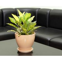 Горшок КОНУС бежевый 18см   309