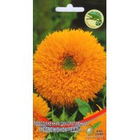 Семена Дом Семян Подсолнечник декоротивный Медвежонок Тедди 13шт