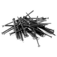 Гвозди строительные. 25