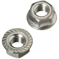 Гайка М6 с фланцем DIN6923 нерж. А2