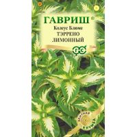 Семена Гавриш Колеус Блюме Тэррено лимонный 4шт