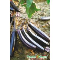 Семена РУССКИЙ ОГОРОД Баклажан Король Севера F1 35шт