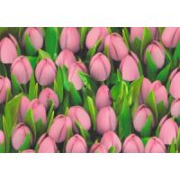 Обои винил 416723 W Ambiente Тюльпан роз. 0,53*10