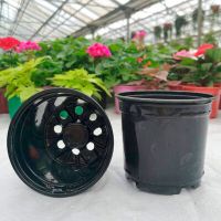 Горшок для рассады круглый d12 h9,5 AM 14052/13012