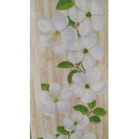 Панель ПВХ Цветы яблони 2,7*0,25*0,08