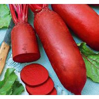 Семена АСТ Свекла столовая Славянка 2г