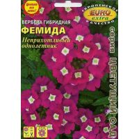Семена Аэлита Вербена гибридная Фемида 0,03г