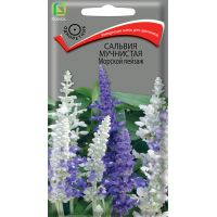 Семена Поиск Сальвия мучнистая Морской пейзаж 10шт