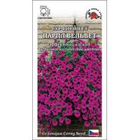 Семена Золотая Сотка Алтая Сурфиния (петуния) Парпл Вельвет F1 5шт