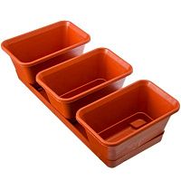 Мини-сад 3 горшка + поддон 33 см  50440