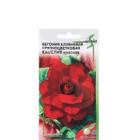 Семена Дом Семян Бегония Камелия красная 10шт