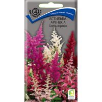 Семена Поиск Астильба Арендса 40шт смесь окрасок