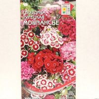 Семена Дом Семян Гвоздика турецкая Монпасье 40шт