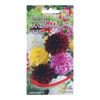 Семена Дом Семян Георгина Маленькая Леди махр. 10шт