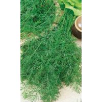 Семена АСТ Укроп Узоры 2г