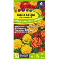 Семена Алтая Бархатцы отклоненные Смесь махровых сортов 0,3г
