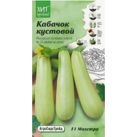 Семена АСТ Кабачок Маэстро F1 1г