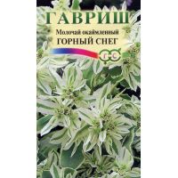 Семена ГАВРИШ МАЛОЧАЙ Горный снег