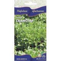 Семена Дом Семян Салат Сканстар 20шт