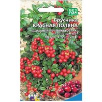 Семена Уральский Дачник Брусника Красная поляна 20шт