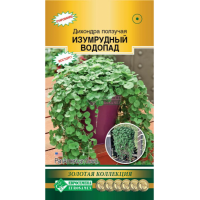 Семена Евросемена Дихондра ползучая Изумрудный водопад 3шт