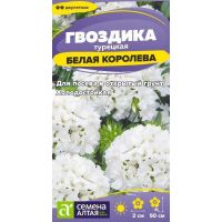 Семена Алтая Гвоздика турецкая Белая Королева 0,1г