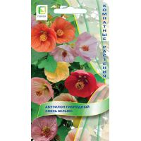 Семена Поиск Абутилон гибридный Смесь Бельвю 0,1г