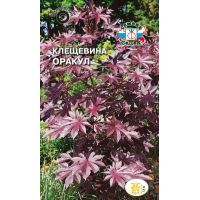 Семена СеДеК Клещевина обыкновенная Оракул 1г