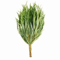 Веник эвкалиптовый Банная линия  10-666