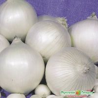 Семена РУССКИЙ ОГОРОД Лук репчатый Серебряный принц 1г