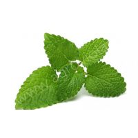 Семена АСТ Мелисса лекарственная Лимончелло 10шт