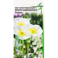 Семена Дом Семян Мак Брызги шампанского F1 белые 10шт