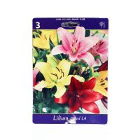 Многолетник НВМ Лилия Микс  3 шт.