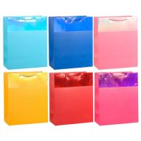 Пакет ламинированный 23*18*10  4843440