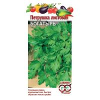 Семена Гавриш ПЕТРУШКА Богатырь  1119-1