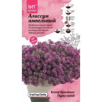 Семена АСТ Алиссум ампельный Клеар Кристалс Пурпл шейд 10шт