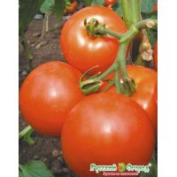 Семена РУССКИЙ ОГОРОД Томат Яблоки на снегу 0,1г