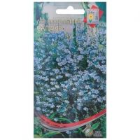 Семена Дом Семян Лен многолетний Сапфир 45шт