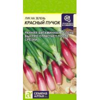 Семена Алтая Лук на зелень Красный Пучок 0,3г