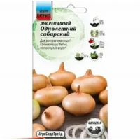 Семена АСТ Лук репчатый Однолетний сибирский 0,25г