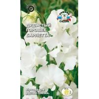 Семена СеДеК Горшек душистый Барлетта 1г