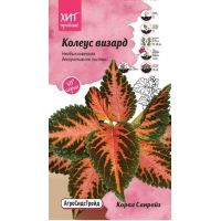 Семена АСТ Колеус Визард Корал Санрайз 10шт