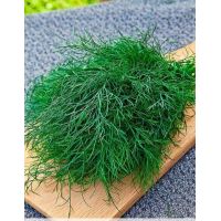 Семена Дом Семян Укроп Аврора 940шт