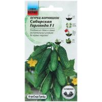 Семена АСТ Огурец Сибирская гирлянда F1 5шт корнишон