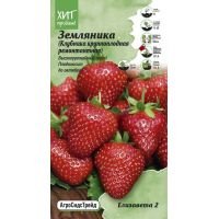 Семена АСТ Земляника (клубника) Елизавета 2 ремонтантная 0,02г