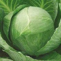 Семена Дом Семян Капуста б/к Золотой гектар 1432 120шт